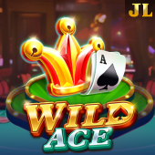 Wild Ace at Super Scatter